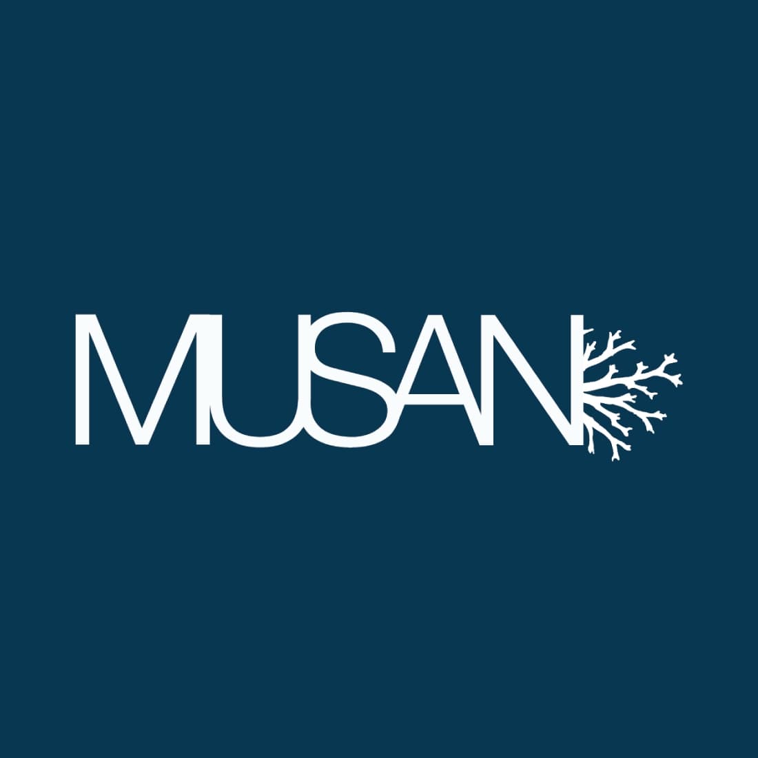Υποβρύχιο Μουσείο Γλυπτικής Αγίας Νάπας (MUSAN)